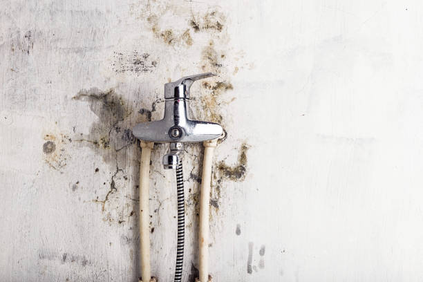 Best Bathroom Mold Remediation in Fairway, KS