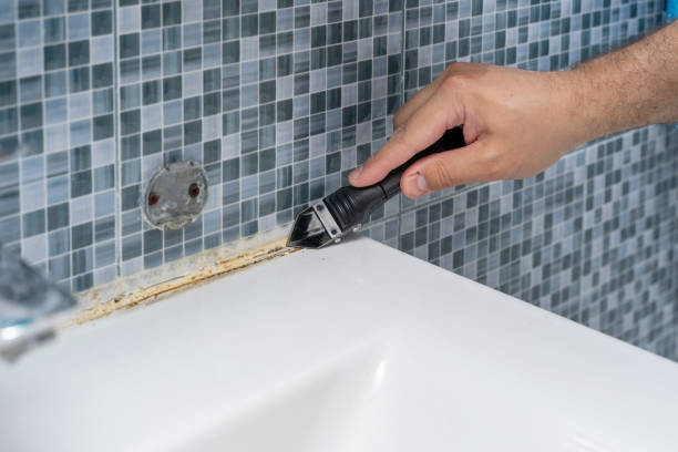 Best Mold Remediation for Schools in Fairway, KS